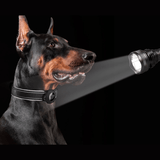 LEAZO - AirTag Hundehalsband