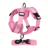 Reflecterend Kattenharnas en Riemset – Ideaal voor Wandelen en Training