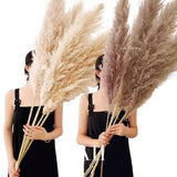 Bohemian Pampas Pluimen - Stijlvolle Natuurlijke Decoratie