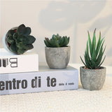 Decoratieve Mini Kunstplantenset in Betonlook – Stijlvolle Groene Touch voor Elk Interieur