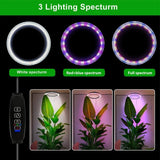 PlantLuxe | Groei lamp voor kamerplanten