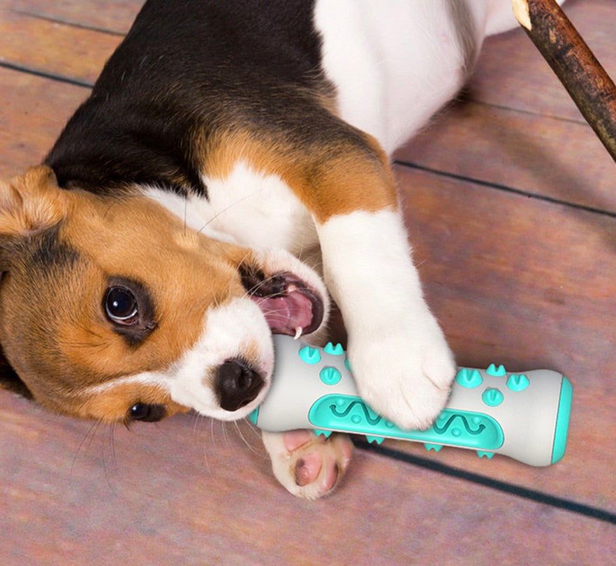 Tandenreinigend Kauspielzeug voor Honden – Chewly