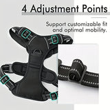 Reflecterend Hondenharnas met Leash Set - Verstelbaar en Veilig voor Wandelen en Training