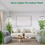 PlantLuxe | Groei lamp voor kamerplanten