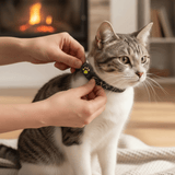 Kat GPS Tracker – Echt-time locatie zonder abonnement