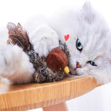 BirdHunting - Laat de natuurlijke jachtinstinct van uw kat tot bloei komen!