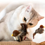 BirdHunting - Laat de natuurlijke jachtinstinct van uw kat tot bloei komen!