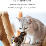 BirdHunting - Laat de natuurlijke jachtinstinct van uw kat tot bloei komen!