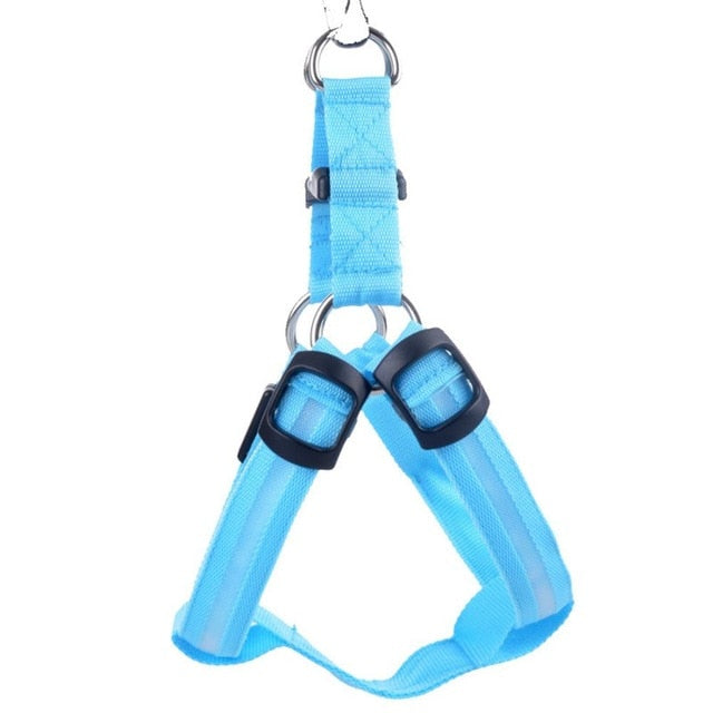 Hondentuig met LED - Glow&Go
