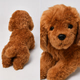 Zachte en realistische pluche hond - schattig speelgoed voor kinderen en cadeaus