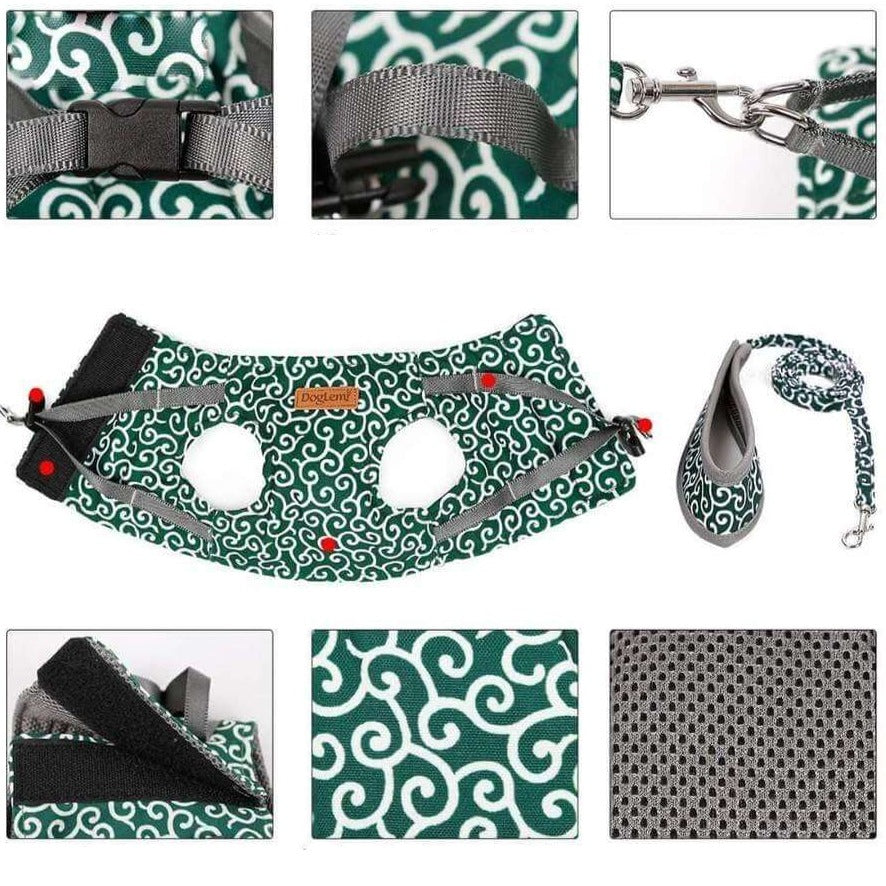 Kattenvest | Harnas Set | Comfortabel Verstelbaar Gaasvest | Perfect voor Wandelen, Joggen en Hiken | Maat XS-S | Inclusief Tractietouw 1,2m | Polyester | Ideaal voor Kittens en Volwassen Katten