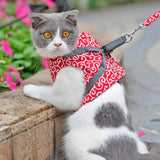 Kattenvest | Harnas Set | Comfortabel Verstelbaar Gaasvest | Perfect voor Wandelen, Joggen en Hiken | Maat XS-S | Inclusief Tractietouw 1,2m | Polyester | Ideaal voor Kittens en Volwassen Katten