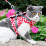 Kattenvest | Harnas Set | Comfortabel Verstelbaar Gaasvest | Perfect voor Wandelen, Joggen en Hiken | Maat XS-S | Inclusief Tractietouw 1,2m | Polyester | Ideaal voor Kittens en Volwassen Katten