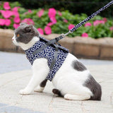Kattenvest | Harnas Set | Comfortabel Verstelbaar Gaasvest | Perfect voor Wandelen, Joggen en Hiken | Maat XS-S | Inclusief Tractietouw 1,2m | Polyester | Ideaal voor Kittens en Volwassen Katten