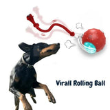 ChewRoll | Rollende Bal Speelgoed