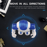 Interactieve Onderwijsrobot - NovaBot