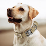 TACTICALK9 HONDENHALSBAND SET – Robuuste & verstelbare halsband voor training & dagelijks gebruik