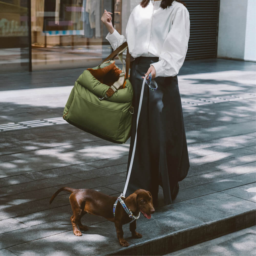 Comfortabele autostoel voor honden - PawLuxury