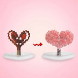 Blossom | Kweek je eigen Sakuraboom!