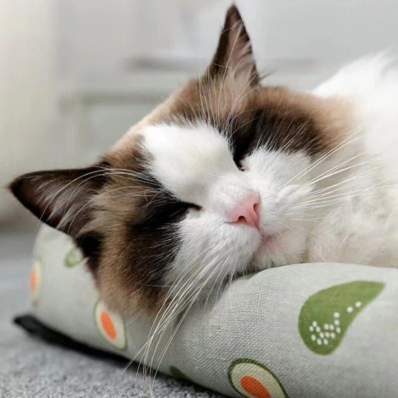 Rattan Pet Mat | Zorg voor het comfort van je huisdier op warme dagen!