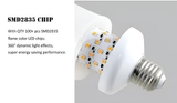 Vlam Effect Lamp - 9W Gesimuleerde Vlam Gloeilamp