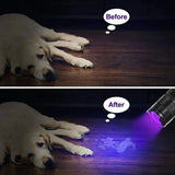 LED UV-Zaklamp - Ultraviolet Inspectielamp voor Huisdierurine en Vlekkenherkenning