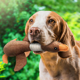 SolidPet Hondenspeelgoed | Duurzaam & Veilig | Voor Alle Honden