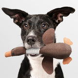 SolidPet Hondenspeelgoed | Duurzaam & Veilig | Voor Alle Honden