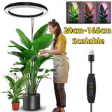 PlantLuxe | Groei lamp voor kamerplanten