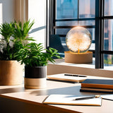 Kristallen Bol Lamp met Eeuwige Bloemen – Lumora