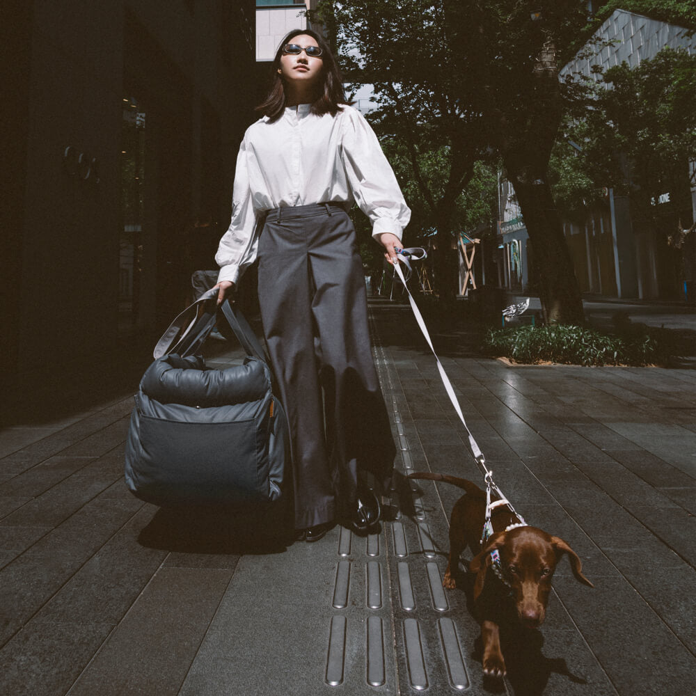 Comfortabele autostoel voor honden - PawLuxury