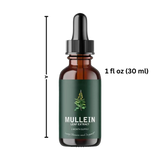 Glutenvrije mullein voor longgezondheid