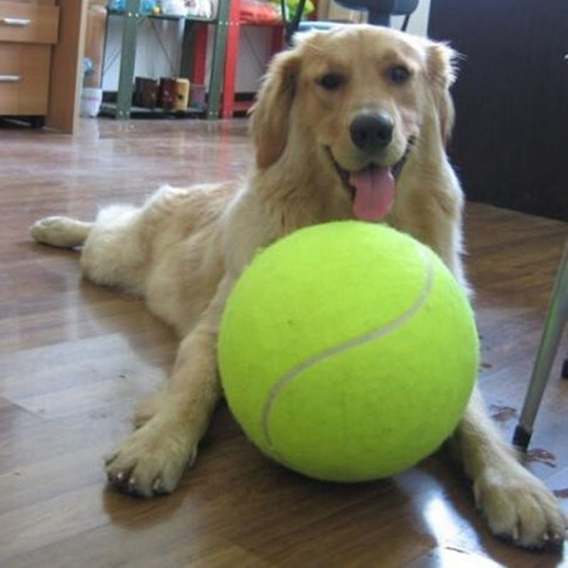 XL Tennisbal voor Honden (24 cm) - GiantFetch