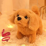 Interactieve Robo-Hond voor Kinderen – BuddyHond