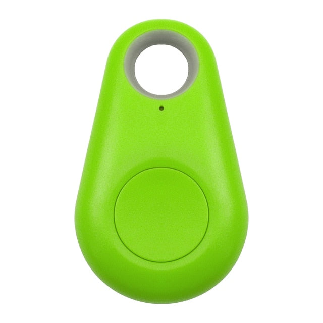 Huisdier GPS-Tag - PawFinder