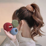 Stijlvolle Vogelnest-Haarclips - Set van 3