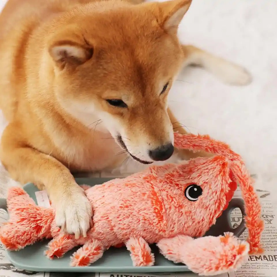 Interactief Honden Speelgoed - BouncyLobster
