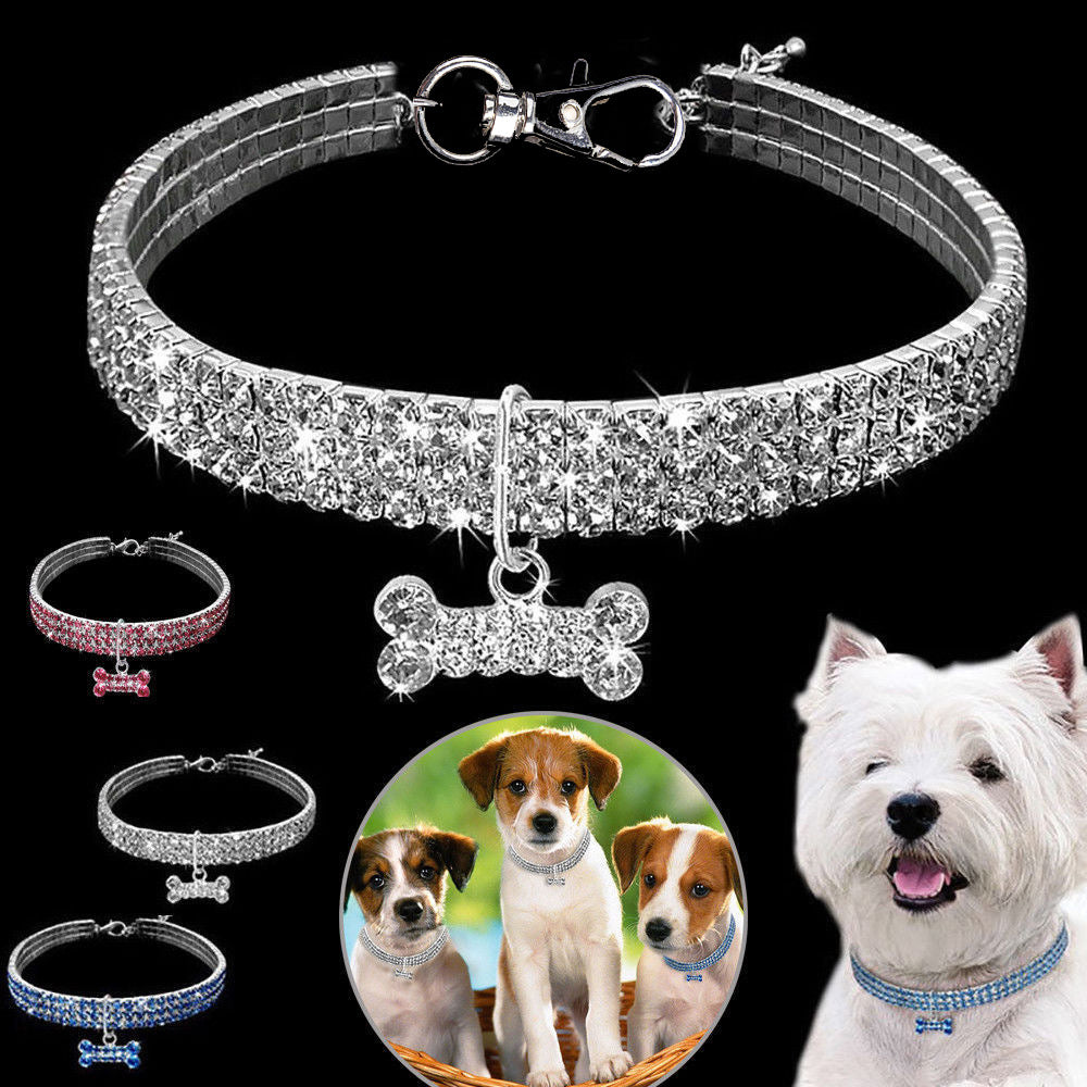 Premium Huisdierhalsband - Bling It On