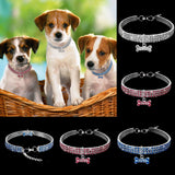 Premium Huisdierhalsband - Bling It On