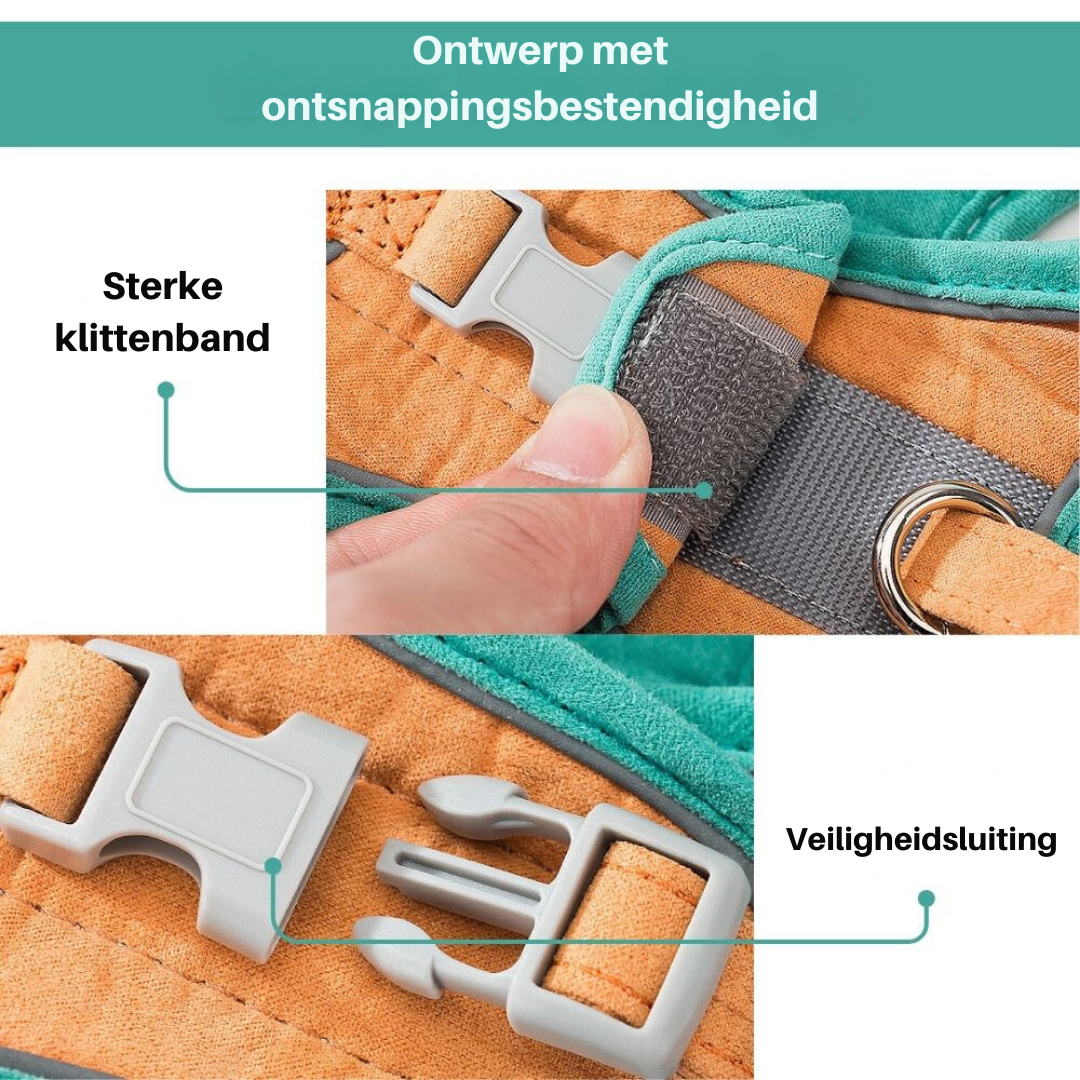 Kattenharnas – Oscar