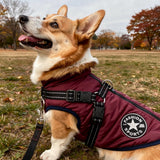 Hondencape voor de Winter | Wintercape voor Honden | Hondjas met Harnas | VachtCape