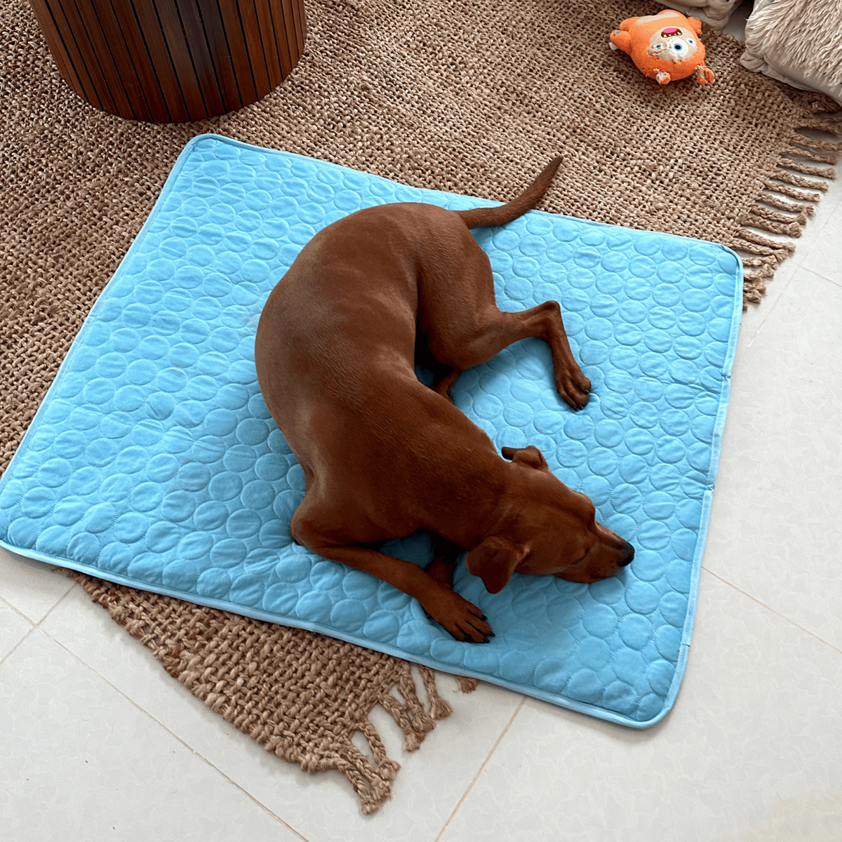 Innovatieve Koelmat voor Honden (4x Koelkracht) - ChillComfort