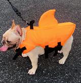 Hondenzwemmers - AquaPup