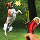 Interactieve Huisdier-Snackdispenser - TreatMaster