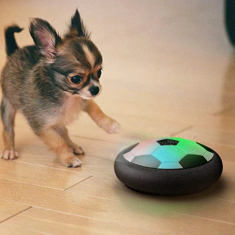 Interactief Voetbal Speelgoed voor Honden – PlayBall Pro