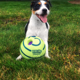 Interactieve Speelbal voor Honden - GiggleSphere