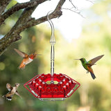 Mierenbestendige Hummingbird Feeder voor Buiten met Hangperch