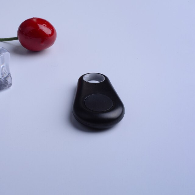 Huisdier GPS-Tag - PawFinder