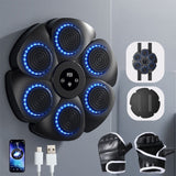 Norvo | Interactieve Slimme Boksmachine - PunchTech
