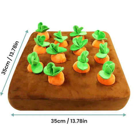 Interactief Snuffel Speelgoed – Snuffeltuin Wortels